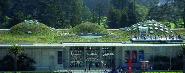 California Academy of Sciences tetto verde Renzo Piano